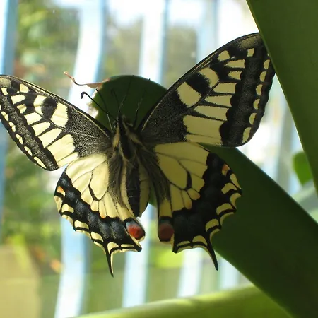 La Reserve Vic-la-Gardiole