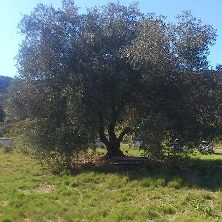 La Reserve Vic-la-Gardiole